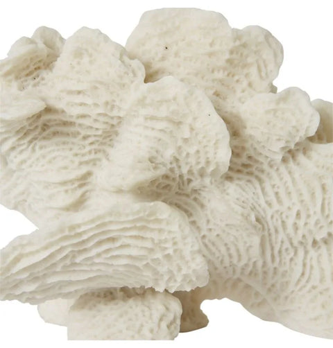 CORAL BUBBLE SCULPTURE