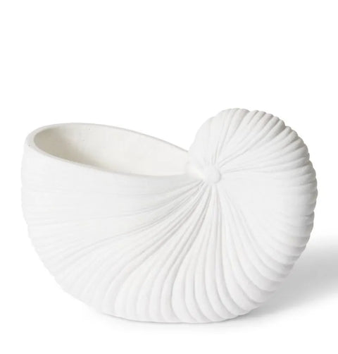 CONCH SHELL POT