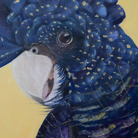 LEANNE MEDCALF "Cormac"