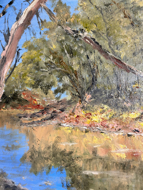 FRITS BOS “Reflections Along The Macquarie”