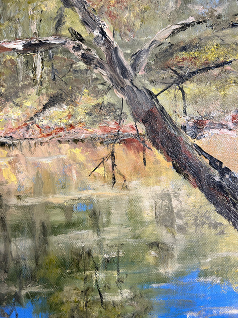 FRITS BOS “Reflections Along The Macquarie”
