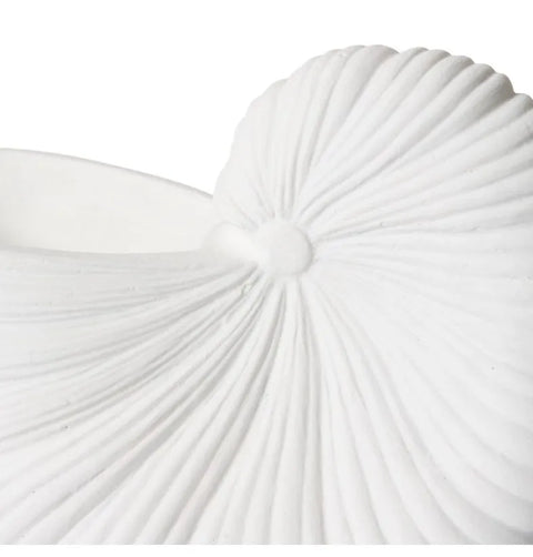 CONCH SHELL POT