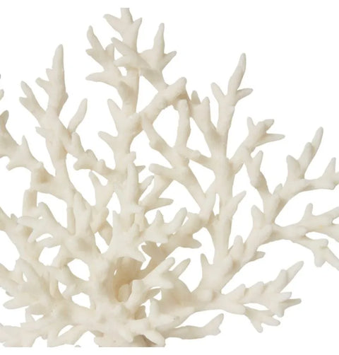 CORAL STAGHORN SCULTPURE