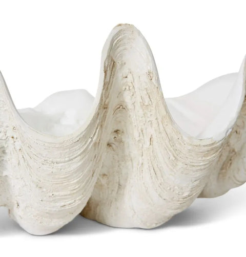 CLAM SHELL OFF WHITE