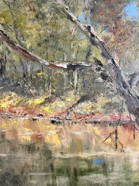 FRITS BOS “Reflections Along The Macquarie”