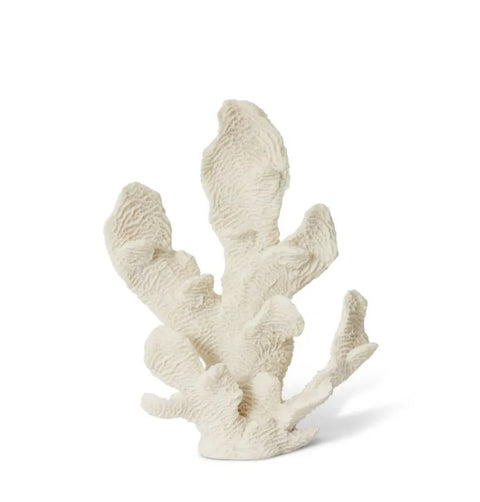 CORAL ELKHORNE SCULPTURE