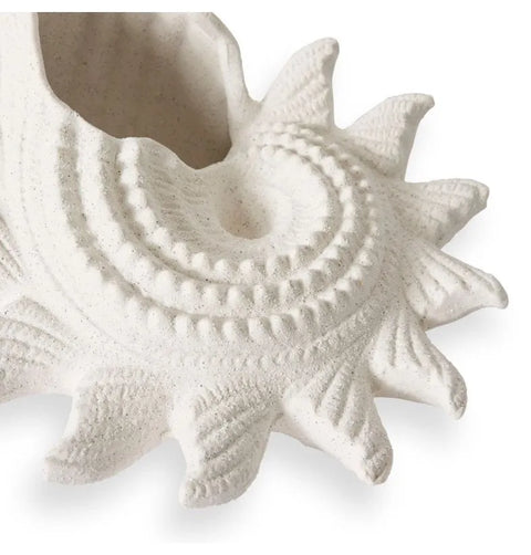 STAR SHELL SCULPTURE